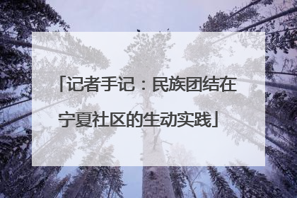 记者手记：民族团结在宁夏社区的生动实践
