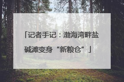 记者手记：渤海湾畔盐碱滩变身“新粮仓”