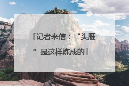 记者来信：“头雁”是这样炼成的