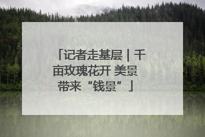 记者走基层｜千亩玫瑰花开 美景带来“钱景”