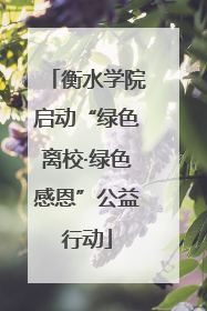 衡水学院启动“绿色离校·绿色感恩”公益行动