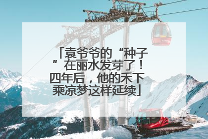 袁爷爷的“种子”在丽水发芽了！四年后，他的禾下乘凉梦这样延续
