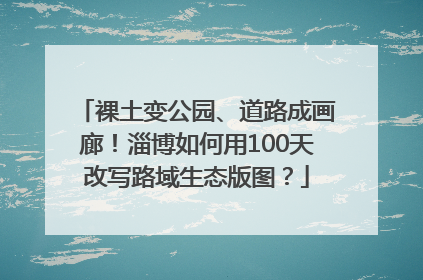 裸土变公园、道路成画廊！淄博如何用100天改写路域生态版图？