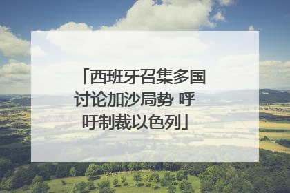 西班牙召集多国讨论加沙局势 呼吁制裁以色列