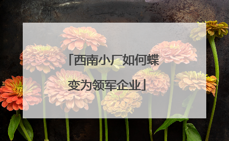 西南小厂如何蝶变为领军企业