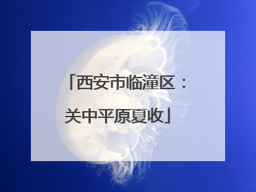 西安市临潼区：关中平原夏收