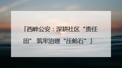 西峰公安：深耕社区“责任田” 筑牢治理“压舱石”