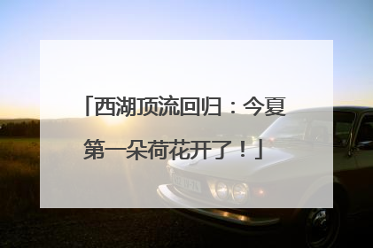 西湖顶流回归：今夏第一朵荷花开了！