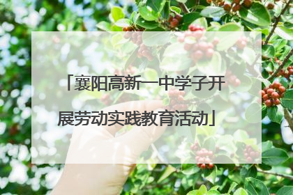 襄阳高新一中学子开展劳动实践教育活动