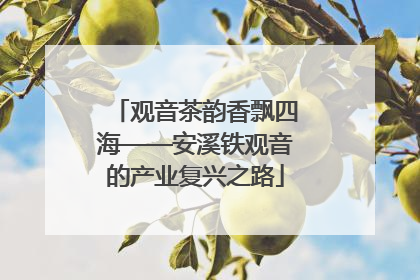 观音茶韵香飘四海——安溪铁观音的产业复兴之路
