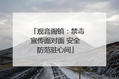 观音阁镇：禁毒宣传面对面 安全防范驻心间
