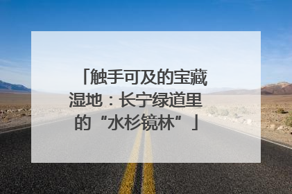 触手可及的宝藏湿地：长宁绿道里的“水杉镜林”