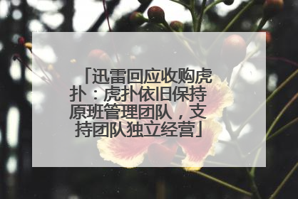 迅雷回应收购虎扑：虎扑依旧保持原班管理团队，支持团队独立经营