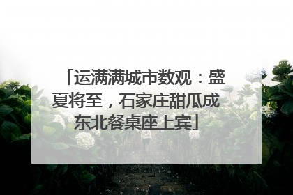 运满满城市数观：盛夏将至，石家庄甜瓜成东北餐桌座上宾