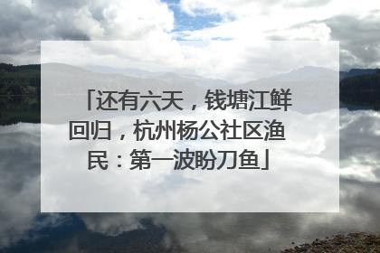 还有六天，钱塘江鲜回归，杭州杨公社区渔民：第一波盼刀鱼