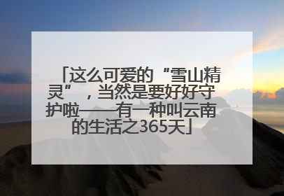 这么可爱的“雪山精灵”，当然是要好好守护啦——有一种叫云南的生活之365天