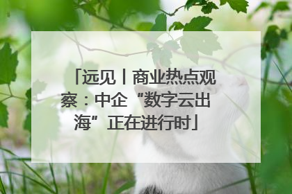 远见丨商业热点观察：中企“数字云出海”正在进行时