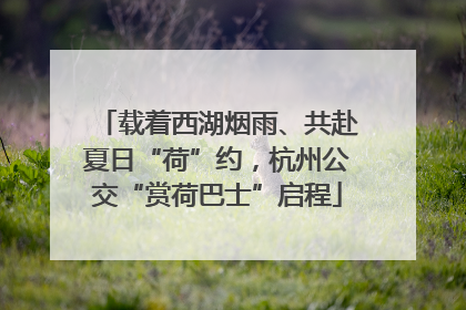 载着西湖烟雨、共赴夏日“荷”约，杭州公交“赏荷巴士”启程