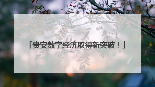 贵安数字经济取得新突破！