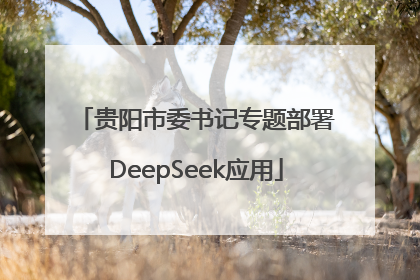贵阳市委书记专题部署DeepSeek应用