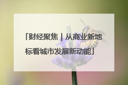 财经聚焦｜从商业新地标看城市发展新动能