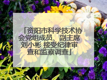 资阳市科学技术协会党组成员、副主席刘小彬 接受纪律审查和监察调查