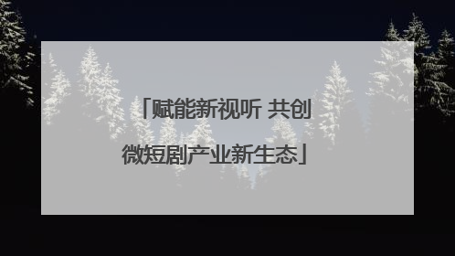 赋能新视听 共创微短剧产业新生态