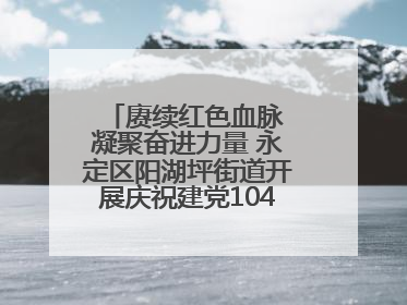 赓续红色血脉 凝聚奋进力量 永定区阳湖坪街道开展庆祝建党104周年系列活动