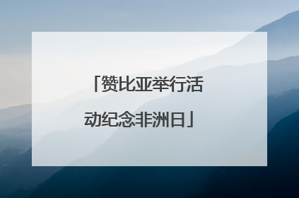 赞比亚举行活动纪念非洲日