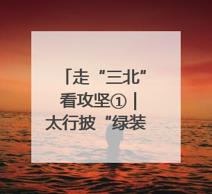 走“三北” 看攻坚①｜太行披“绿装” 连翘药茶香