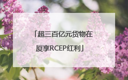 超三百亿元货物在厦享RCEP红利