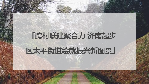 跨村联建聚合力 济南起步区太平街道绘就振兴新图景
