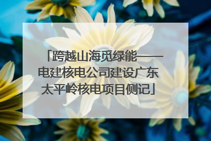 跨越山海觅绿能——电建核电公司建设广东太平岭核电项目侧记