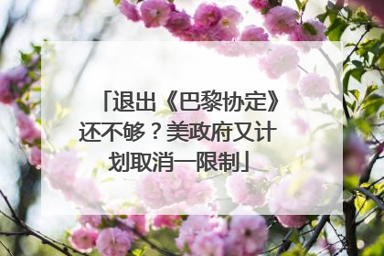 退出《巴黎协定》还不够？美政府又计划取消一限制