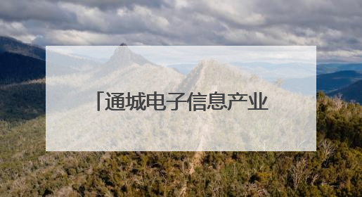通城电子信息产业集群效应日益凸显