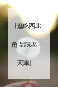 逛吃西北角 品味老天津