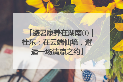 避暑康养在湖南①｜桂东：在云端仙境，邂逅一场清凉之约