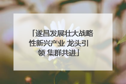 遂昌发展壮大战略性新兴产业 龙头引领 集群共进