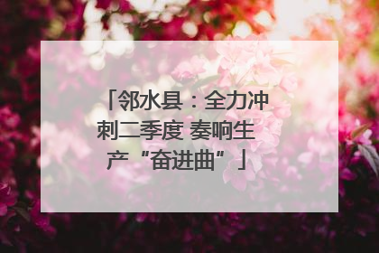 邻水县：全力冲刺二季度 奏响生产“奋进曲”