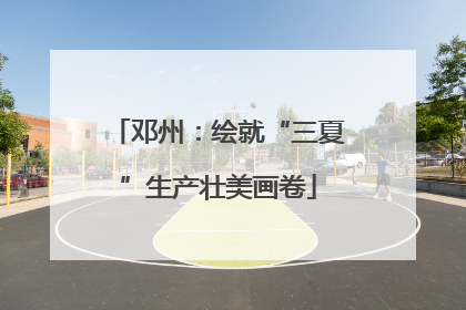 邓州：绘就“三夏”生产壮美画卷