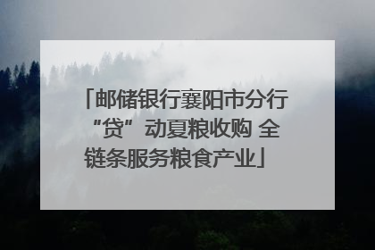 邮储银行襄阳市分行“贷”动夏粮收购 全链条服务粮食产业
