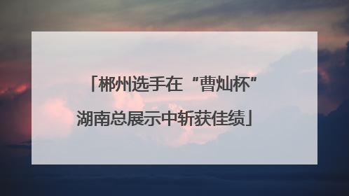 郴州选手在“曹灿杯”湖南总展示中斩获佳绩
