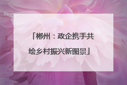 郴州：政企携手共绘乡村振兴新图景