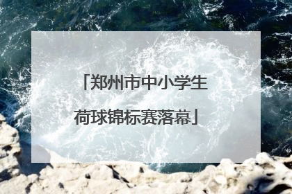 郑州市中小学生荷球锦标赛落幕