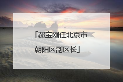郝宝刚任北京市朝阳区副区长