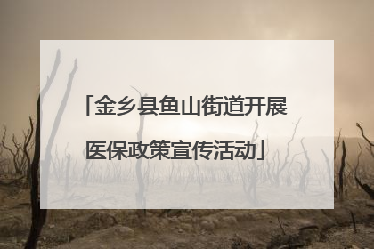 金乡县鱼山街道开展医保政策宣传活动