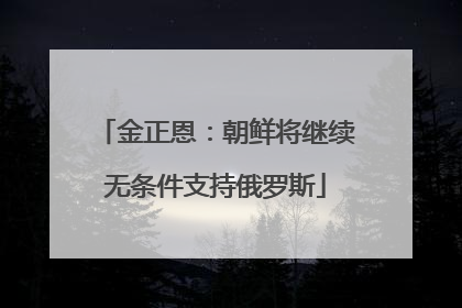 金正恩：朝鲜将继续无条件支持俄罗斯