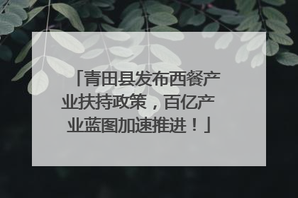 青田县发布西餐产业扶持政策，百亿产业蓝图加速推进！