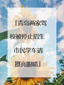 青岛两家驾校被停止招生 市民学车请擦亮眼睛
