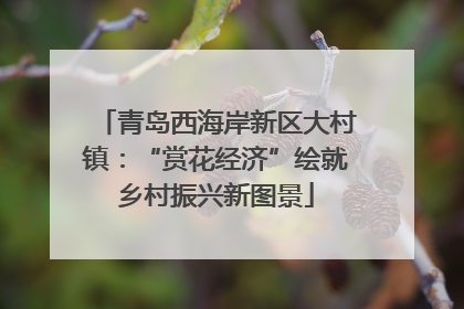 青岛西海岸新区大村镇：“赏花经济”绘就乡村振兴新图景